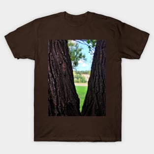 Looking at the River from in between the Trees T-Shirt